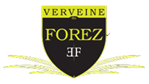 logo-verveinex2